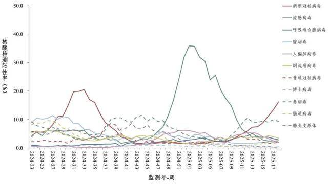 _高峰_病毒_呼吸道J9国际集团新冠又来(图4)